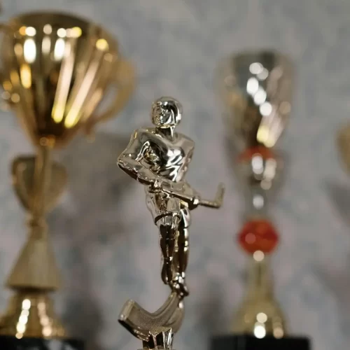 Shiny sports trophies on a table, representing award ceremonies and recognition events by MRM Events.