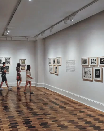 pexels-prismattco-2372935